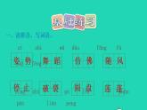 2022三年级语文下册第1单元第3课荷花课后练习课件1新人教版