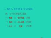 2022三年级语文下册第1单元第3课荷花课后练习课件1新人教版