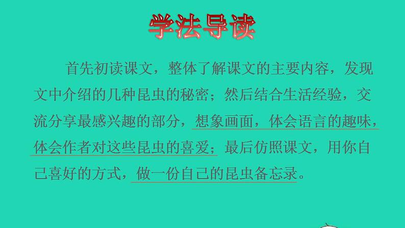 2022三年级语文下册第1单元第4课昆虫备忘录品读释疑课件新人教版第3页