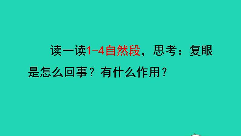 2022三年级语文下册第1单元第4课昆虫备忘录品读释疑课件新人教版第4页