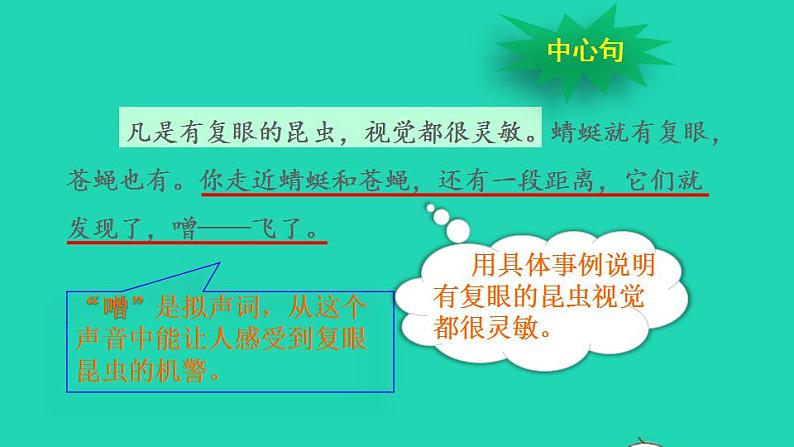 2022三年级语文下册第1单元第4课昆虫备忘录品读释疑课件新人教版第7页