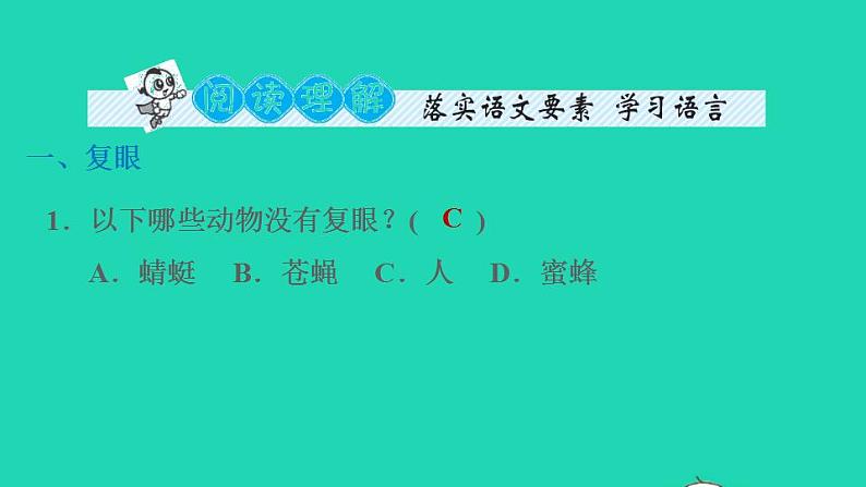 2022三年级语文下册第1单元第4课昆虫备忘录课后练习课件2新人教版第5页