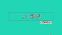 小学语文人教部编版三年级下册14 蜜蜂教案配套课件ppt