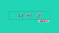 人教部编版三年级下册15* 小虾备课课件ppt