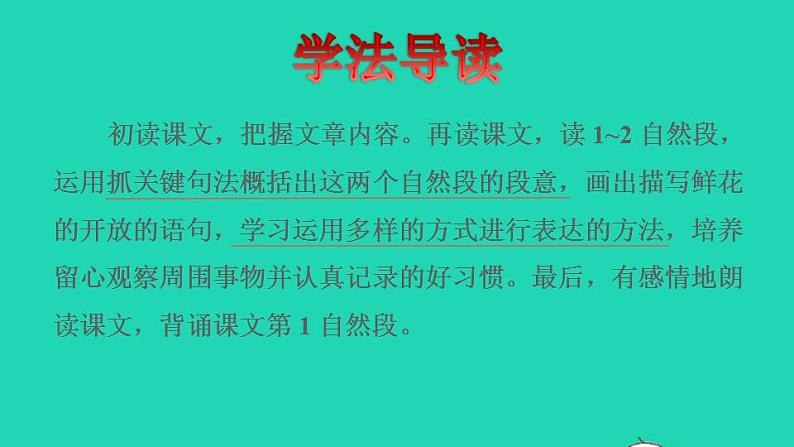 2022三年级语文下册第4单元第13课花钟品读释疑课件新人教版03