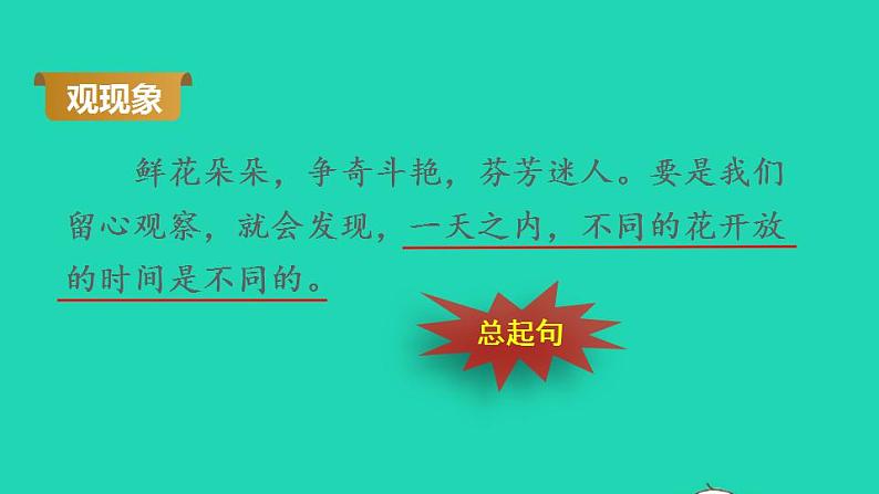 2022三年级语文下册第4单元第13课花钟品读释疑课件新人教版05