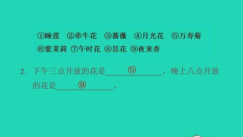 2022三年级语文下册第4单元第13课花钟课后练习课件2新人教版第6页