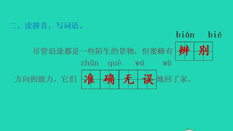 2022三年级语文下册第4单元第14课蜜蜂课后练习课件1新人教版第3页