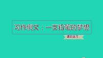 语文三年级下册一支铅笔的梦想习题课件ppt