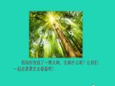 2022三年级语文下册第5单元第17课我变成了一棵树初读感知课件新人教版