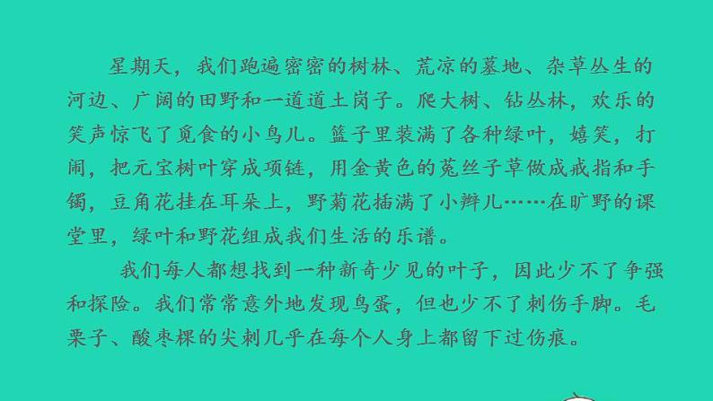 2022三年级语文下册第6单元第20课肥皂泡拓展积累课件新人教版第5页