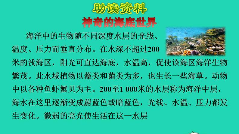 2022三年级语文下册第7单元第23课海底世界初读感知课件新人教版04