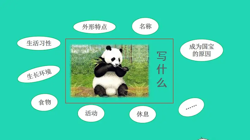 2022三年级语文下册第7单元习作：国宝大熊猫授课课件新人教版第8页