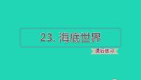 小学语文人教部编版三年级下册23 海底世界习题ppt课件