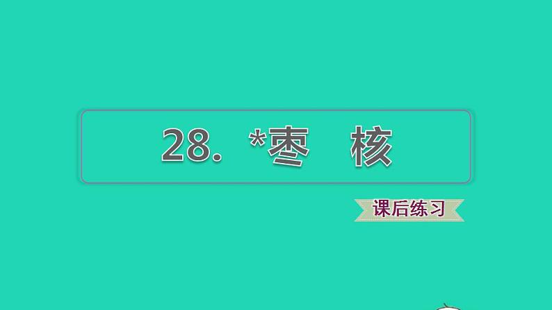 2022三年级语文下册第8单元第28课枣核习题课件1新人教版第1页