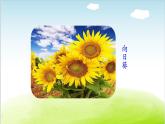 部编语文《植物妈妈有办法》 PPT课件