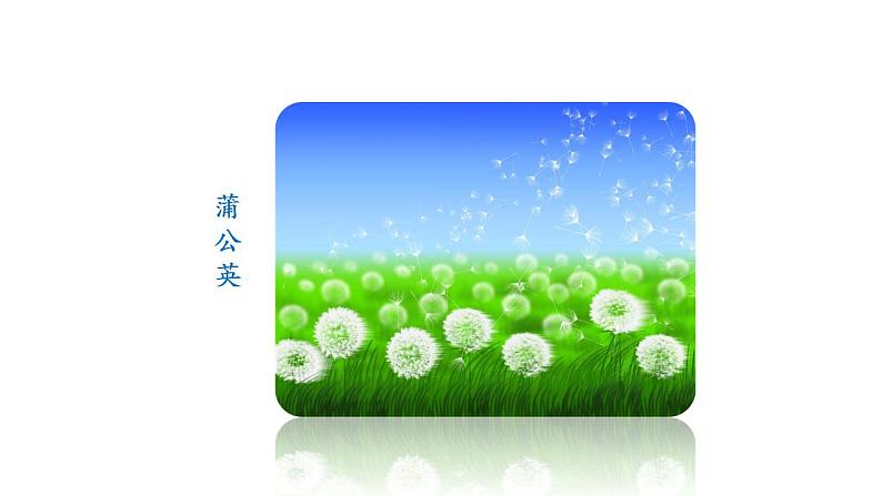 部编语文《植物妈妈有办法》 PPT课件02