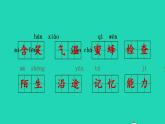 2022三年級語文下冊第4單元復(fù)習(xí)課件新人教版