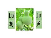 小学语文 部编版 二年级 14《我要的是葫芦》（第一课时）课件