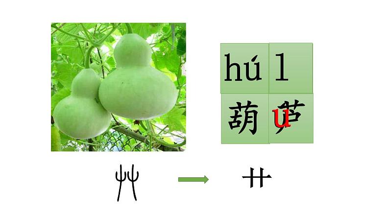 小学语文 部编版 二年级 14《我要的是葫芦》（第一课时）课件05