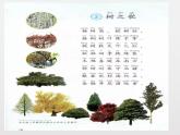 小学语文 部编版 二年级 14《树之歌》（第二课时） 课件