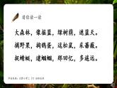 小学语文 部编版 二年级《祖先的摇篮》第二课时 课件