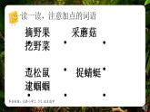 小学语文 部编版 二年级《祖先的摇篮》第二课时 课件