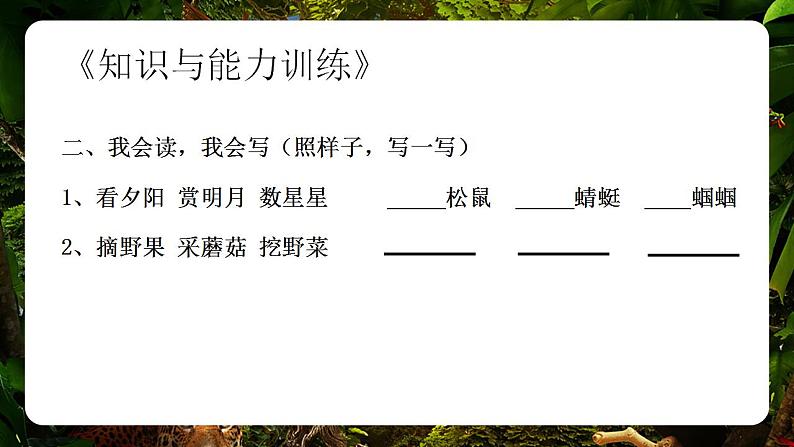 小学语文 部编版 二年级《祖先的摇篮》第二课时 课件第6页