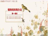 小学语文 部编版 二年级《植物妈妈有办法》（第一课时）课件