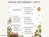 小学语文 部编版 二年级《植物妈妈有办法》（第一课时）课件