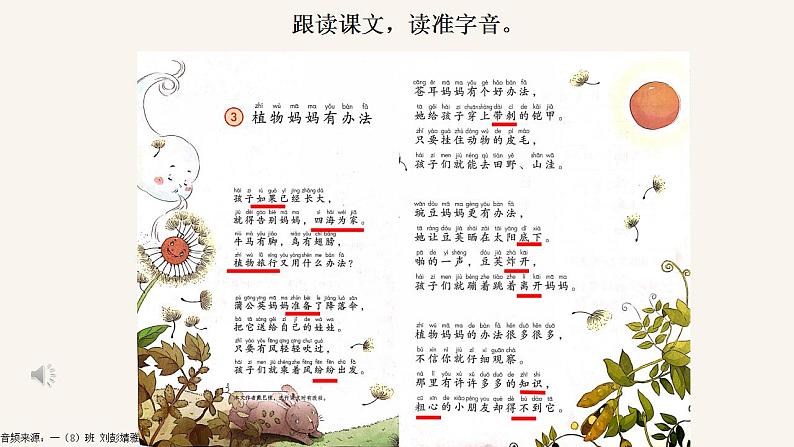 小学语文 部编版 二年级《植物妈妈有办法》（第一课时）课件第4页