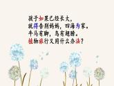 小学语文 部编版 二年级《植物妈妈有办法》（第一课时）课件