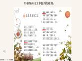 小学语文 部编版 二年级《植物妈妈有办法》（第二课时）课件