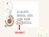 小学语文 部编版 二年级《植物妈妈有办法》（第二课时）课件