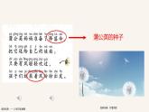 小学语文 部编版 二年级《植物妈妈有办法》（第二课时）课件