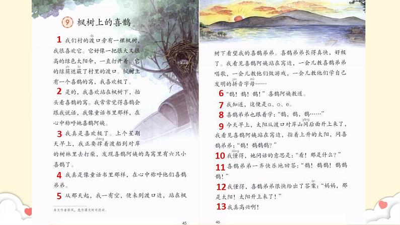 小学语文 部编版 二年级《枫树上的喜鹊》第一课时 pptx 课件06