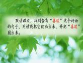 小学语文 部编版 二年级《枫树上的喜鹊》第二课时 微课 课件