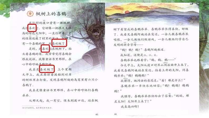 小学语文 部编版 二年级《枫树上的喜鹊》第二课时 微课 课件04