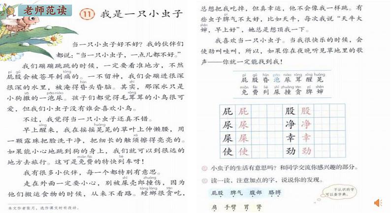 小学语文 部编版 二年级《我是一只小虫子》第一课时 课件第4页