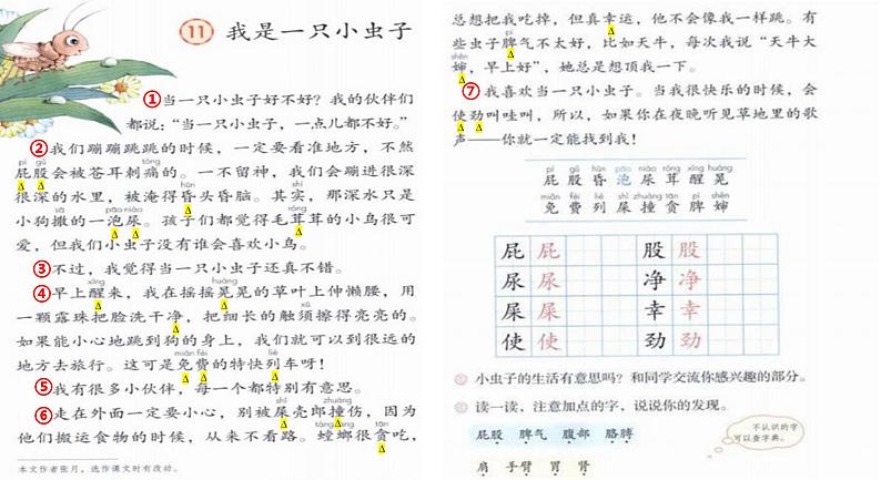 小学语文 部编版 二年级《我是一只小虫子》第一课时 课件第6页