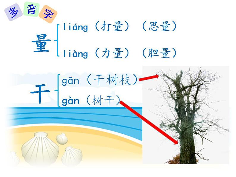 小学语文 部编版 二年级《沙滩上的童话》（第一课时） 课件第7页