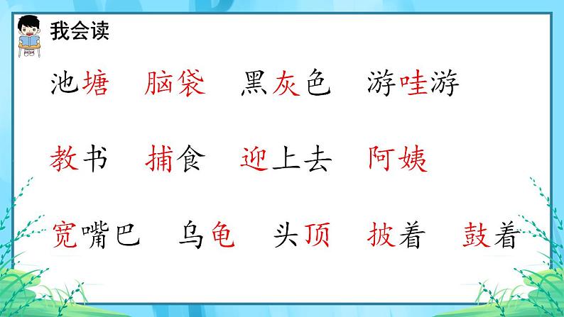 小学语文 部编版 二年级《小蝌蚪找妈妈》（第一课时） 课件05