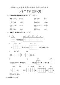 山东省菏泽市成武县2019--2020学年二年级上学期期中考试语文试题（部编版）