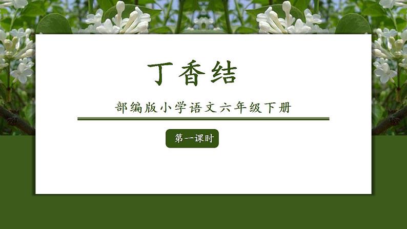 2《丁香结》第一课时  教学课件第2页