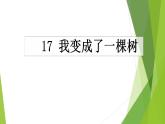 人教部编版（五四制）语文三年级下册《17 我变成了一棵树》（课件）