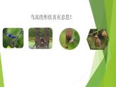 人教部编版（五四制）语文三年级下册《17 我变成了一棵树》（课件）