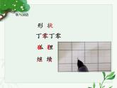 人教部编版（五四制）语文三年级下册17 我变成了一棵树  第二课时（课件）