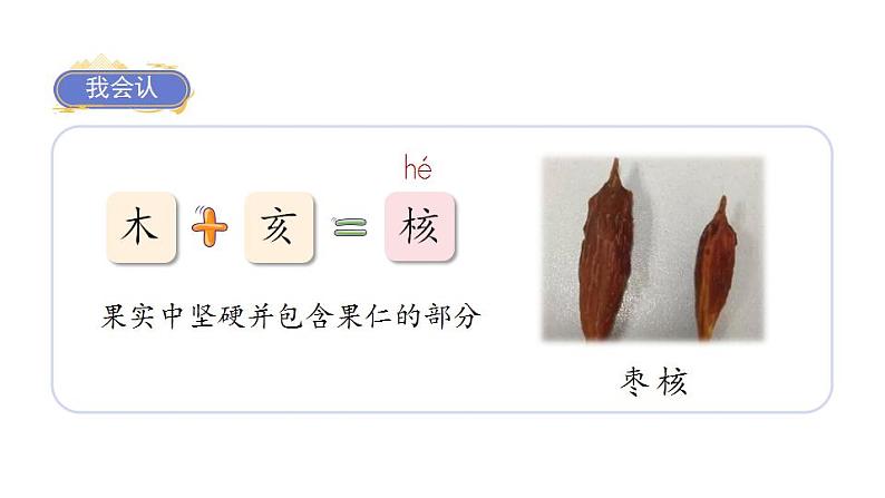 人教部编版（五四制）语文三年级下册28 枣核（课件）03