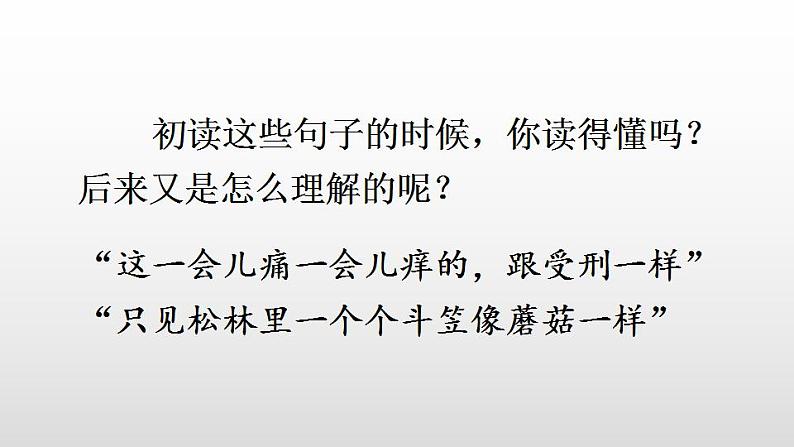 人教部编版（五四制）语文三年级下册课件- 第六单元 语文园地 (共29张PPT)07