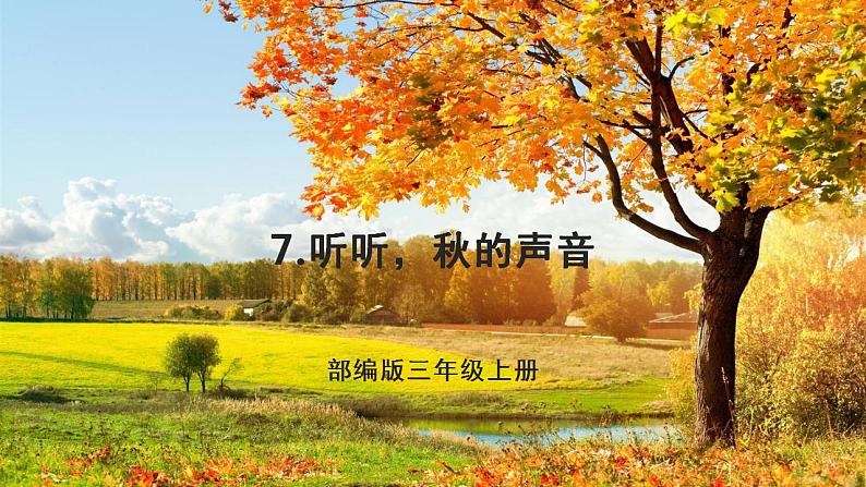 部编版三年级上册语文 7.听听，秋的声音 课件01